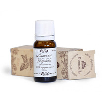 ������� ����� ������ ������