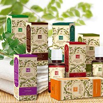 ����� ������������� ������������ �����������