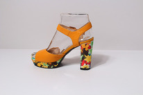 ����� ������ Cavaletto, ����������� ����, ������ � ���