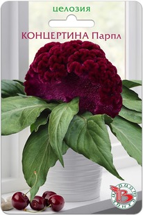 ������� ��������� ���������� �����