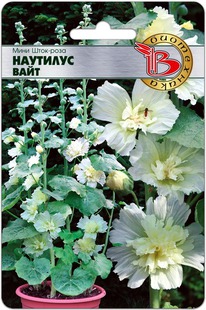 ���� ����-���� �������� ����