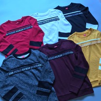 �������� GUESS � ������������