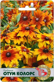 �������� ���� ������