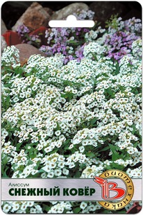 ������� ������� ����