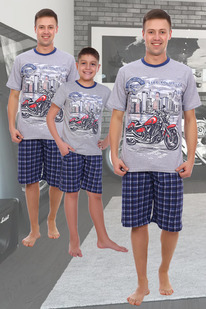 ������ ���������