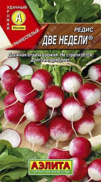 ��� ������ �����