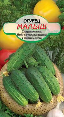 ����� ������ 10�� ��