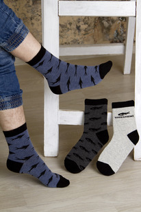 ����� ����� �������