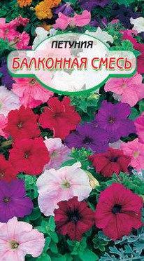 ��������� ����� ������� �������