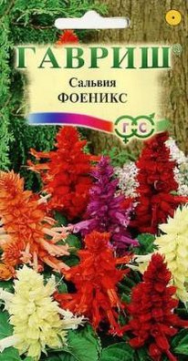 ������ ������� �����