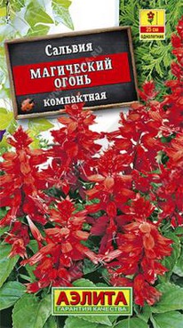 ���������� ����� �������