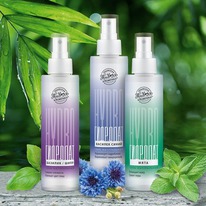 ��������� �� ������ ������������� ����� �������