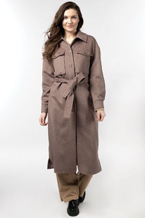 ������ ������� ������������ (����)