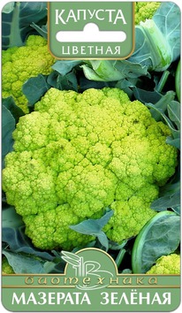 ������� ������� �������� ������