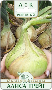 ��� �������� ����� �����