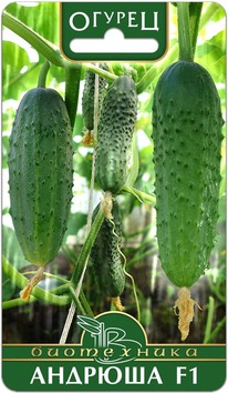 ������ ������� F1