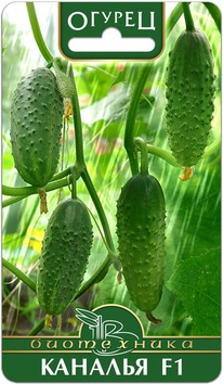 ������ ������� F1