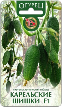 ������ ���������� ����� F1