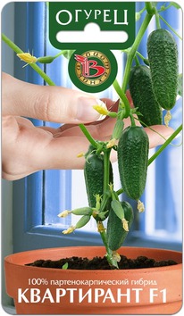 ������ ���������� F1