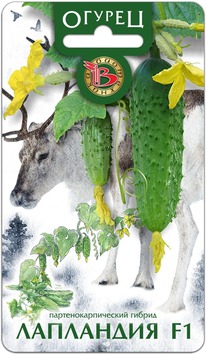 ������ ��������� F1