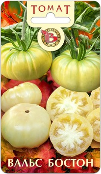 ����� ����� ������