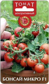 ����� ������������ ������ ����� F1