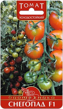 ����� �������� F1