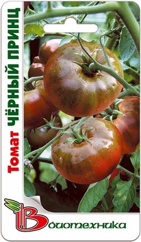 ����� ������ �����