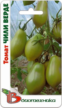 ����� ���� �����