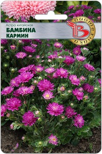 ����� ��������� ������� ������