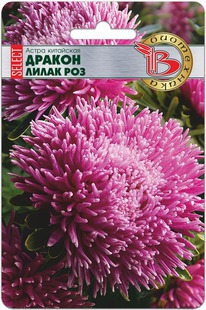 ����� ��������� ������ ������ ����� ����