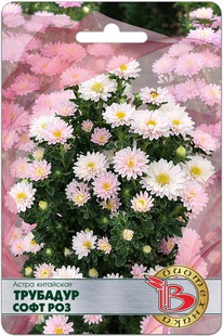 ����� ��������� �������� ���� ���