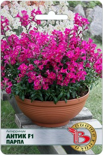 ���������� ����� F1 �����