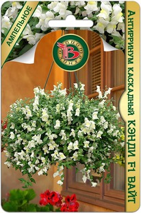 ���������� ��������� ����� F1 ����