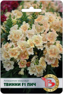 ���������� �������� F1 ������ ���