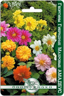 �������� ��������� �������� �������