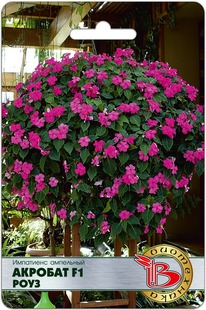 ��������� ��������� �������� F1 ����