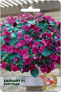 ��������� ��������� �������� F1 ��������