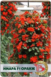 ��������� ������� ����� F1 �����