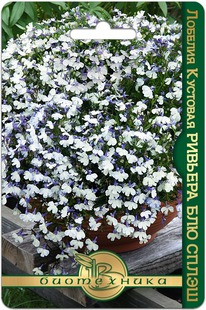 ������� �������� ������� ��� �����