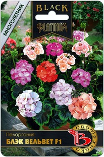 ���������� ���� ������� F1 �����