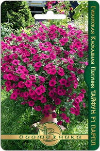 ������� ���������� ��������� ������ F1 �����