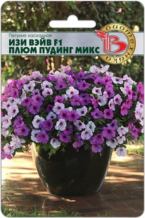 ������� ��������� ��� ���� F1 ���� ������  ����