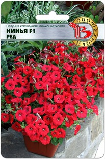 ������� ��������� �������������� ����� F1 ���