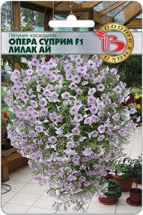 ������� ��������� ����� ������ F1 ����� ��