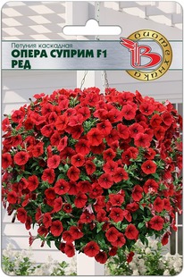 ������� ��������� ����� ������ F1 ���