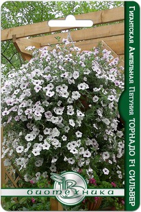 ������� ��������� ������� F1 �������