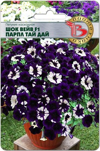 ������� ��������� ��� ���� F1 ����� ��� ���