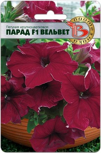 ������� ��������������� ����� F1 �������