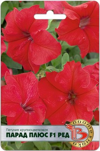 ������� ��������������� ����� ���� F1 ���